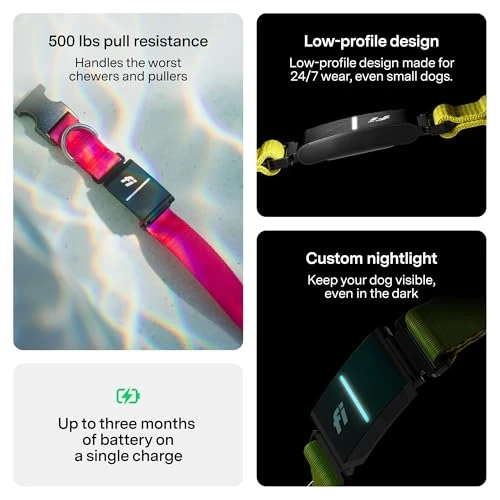 Smart Dog Tracker Collar with Health Monitoring — Trackers, Fi