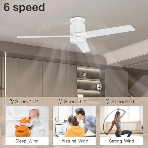 Smart Flush Mount Ceiling Fan with Lights — Ceiling Fans, Lorpies