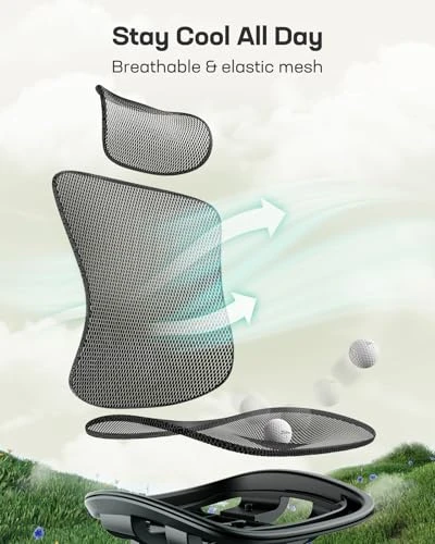 Ergonomic Mesh Office Chair — Desk Chairs, Marsail