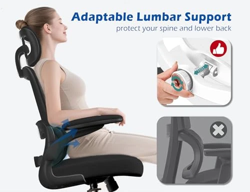 Ergonomic Office Chair with Adjustable Headrest and Lumbar Support — Desk Chairs, TRALT