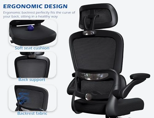 Ergonomic Office Chair with Adjustable Headrest and Lumbar Support — Desk Chairs, TRALT