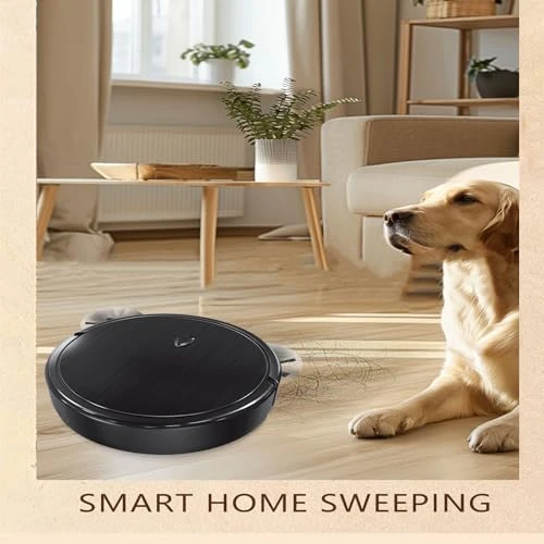 Robot Vacuum and Mop — Robot Vacuum, Generic