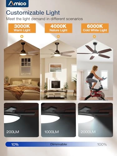 Ceiling Fan with Lights — Ceiling Fans & Accessories, Amico