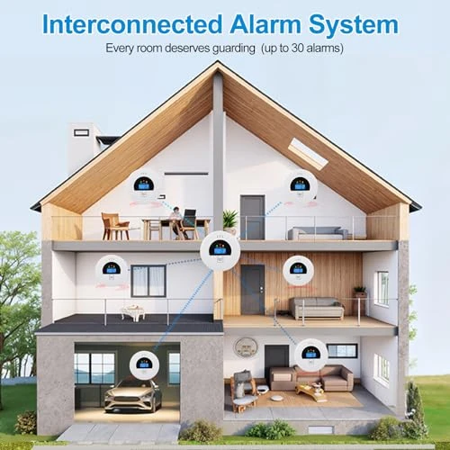 Interconnected Smoke and Carbon Monoxide Detector — Carbon Monoxide Detectors, Soewolit