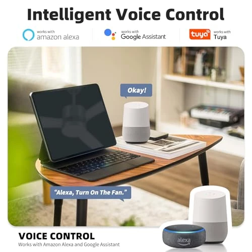 Smart Ceiling Fan with Light — Ceiling Fans, OKELI