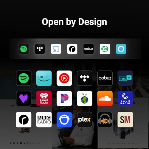Smart Speaker with Touch Display — Built-In Audio Solutions, WiiM