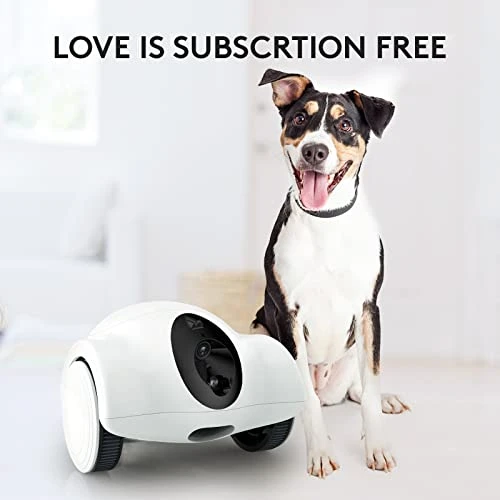 Movable Companion Robot for Pets — Cameras & Monitors, OBEXX MORE THAN FUTURE
