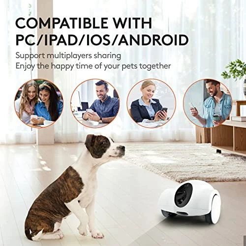 Movable Companion Robot for Pets — Cameras & Monitors, OBEXX MORE THAN FUTURE