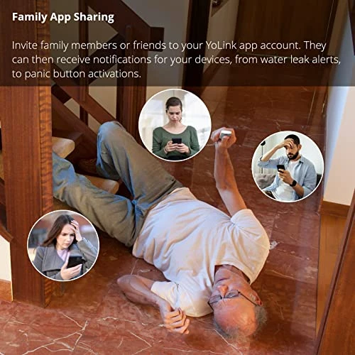 Smart Door and Window Sensor — Smart Home Security, YoLink