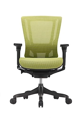 Smart Motion Mesh Office Chair — Desk Chairs, Raynor