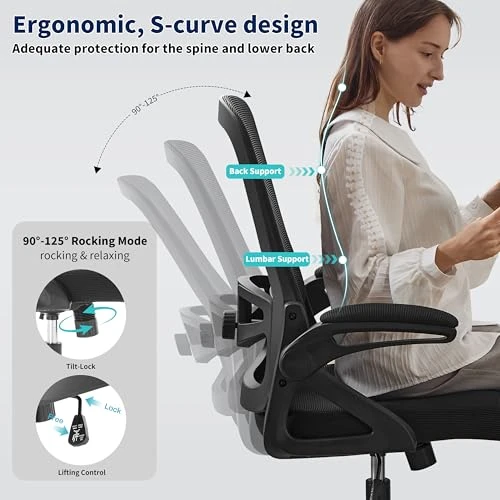 Ergonomic Office Chair with Adjustable Lumbar Support and Breathable Mesh — Desk Chairs, Nexthro