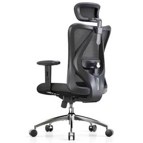 Ergonomic Office Chair — Desk Chairs, SIHOO