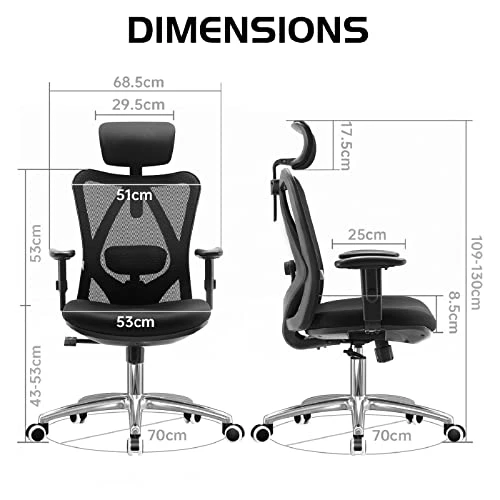 Ergonomic Office Chair — Desk Chairs, SIHOO