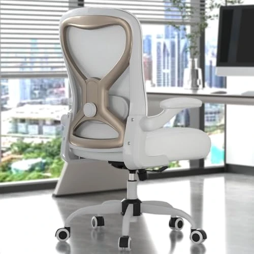 Office Desk Chair with Ergonomic Lumbar Support — Desk Chairs, CASASIO
