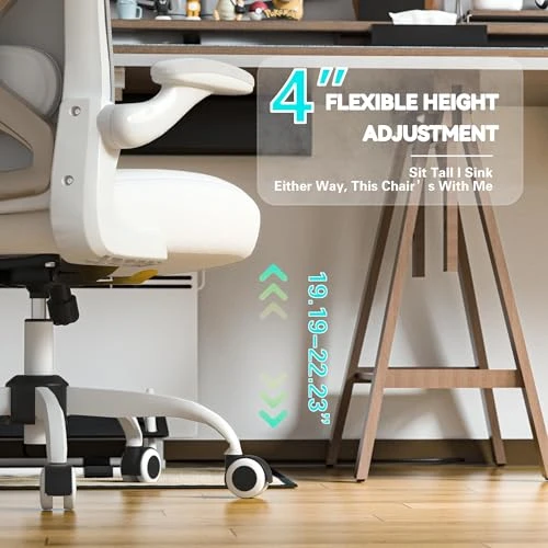 Office Desk Chair with Ergonomic Lumbar Support — Desk Chairs, CASASIO