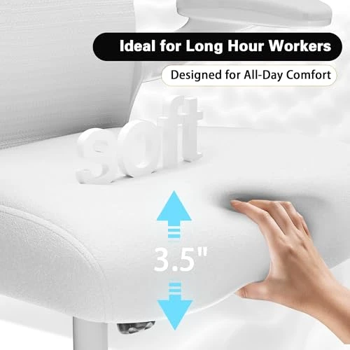 Office Desk Chair with Ergonomic Lumbar Support — Desk Chairs, CASASIO