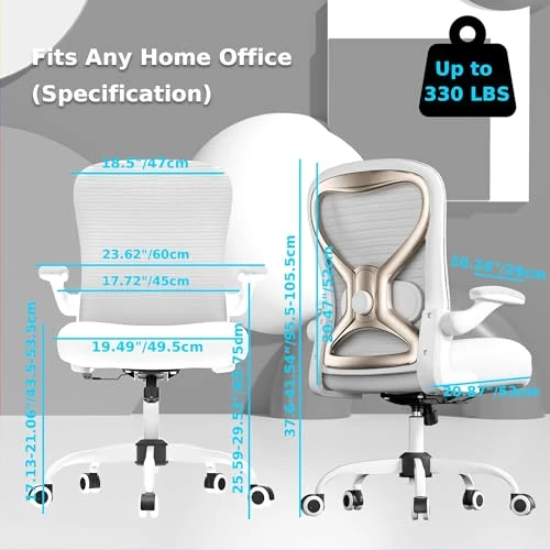 Office Desk Chair with Ergonomic Lumbar Support — Desk Chairs, CASASIO