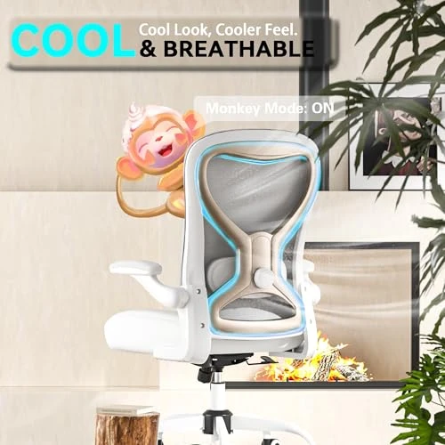 Office Desk Chair with Ergonomic Lumbar Support — Desk Chairs, CASASIO