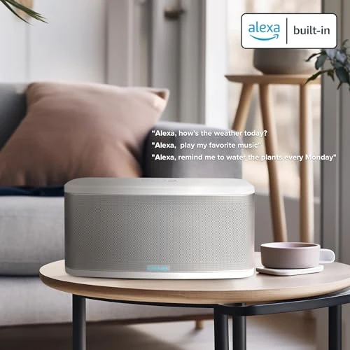 Upgraded Stadium Wi-Fi Bluetooth Smart Hi-Fi Speaker with Alexa Built-in — Built-In Audio Solutions, RIVA