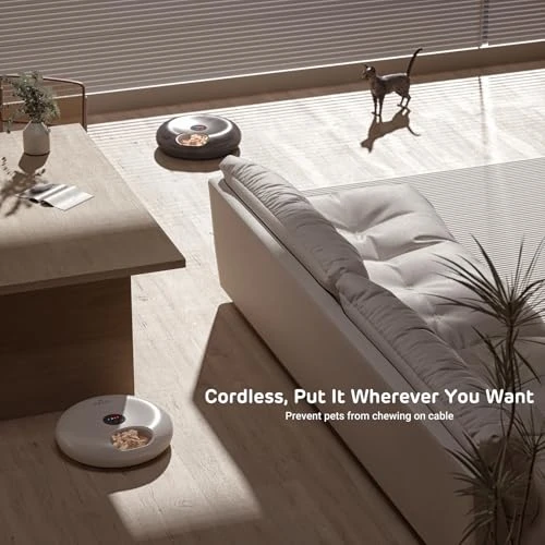 Donut Frost WiFi 6 Meal Automatic Pet Food Dispenser with App Control — Automatic Feeders, iPettie