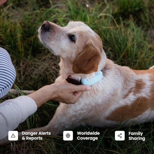 Smart Dog GPS Tracker with Virtual Fence and Vital Signs Monitoring — Trackers, Tractive