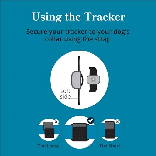 Smart GPS and Activity Pet Tracker for Dogs — Trackers, Petivity