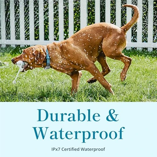 Smart GPS and Activity Pet Tracker for Dogs — Trackers, Petivity