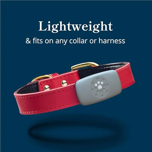 Smart GPS and Activity Pet Tracker for Dogs — Trackers, Petivity