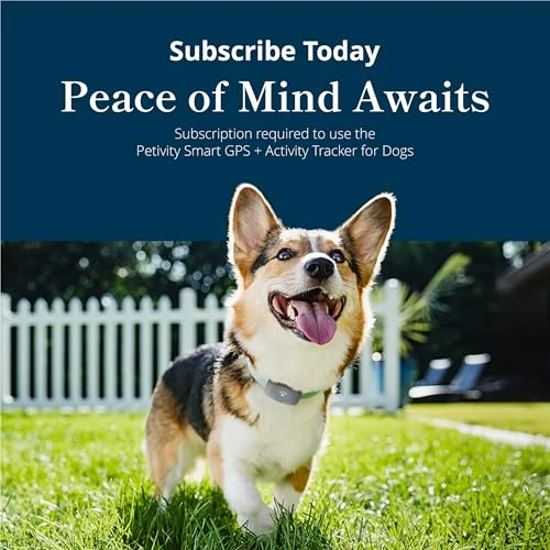 Smart GPS and Activity Pet Tracker for Dogs — Trackers, Petivity