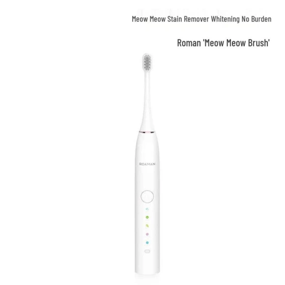 Smart Sonic Electric Toothbrush — Electric Toothbrush, ROAMAN