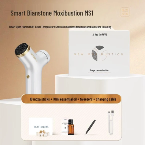 Moxibustion and Gua Sha Device — Massage Gun, JDST online