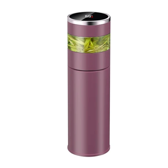 Smart Temperature Display Tea-Water Separation Insulated Mug — Smart Water Bottle, JDST online