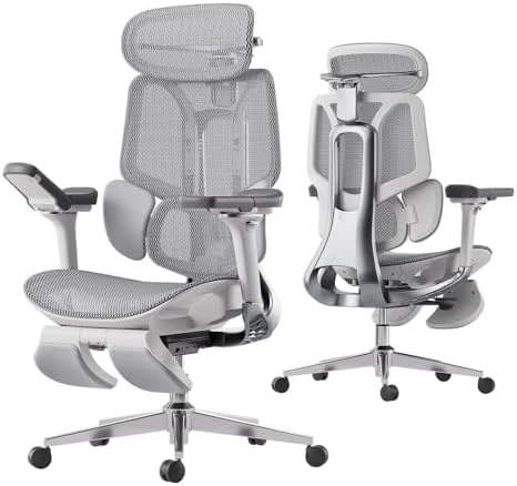 Ergonomic Office Chair with Dynamic Lumbar Support and Adjustable Headrest — Smart Chairs, Hbada