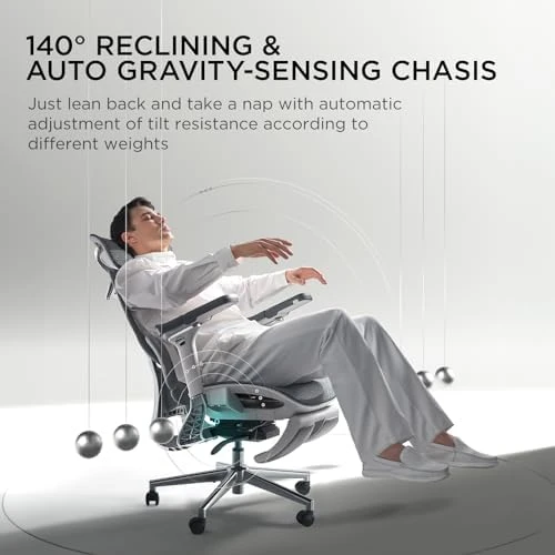 Ergonomic Office Chair with Dynamic Lumbar Support and Adjustable Headrest — Smart Chairs, Hbada