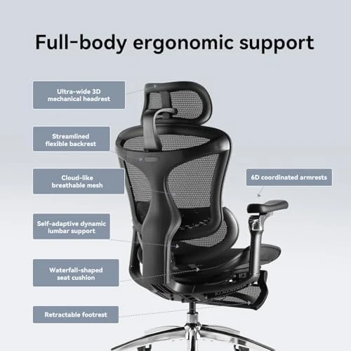 Ergonomic Office Chair with Footrest — Smart Chairs, SIHOO