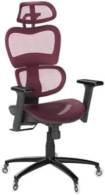 Ergonomic Office Chair with Lumbar Support, Adjustable Armrests, Headrest, and Wheels — Smart Chairs, Nouhaus