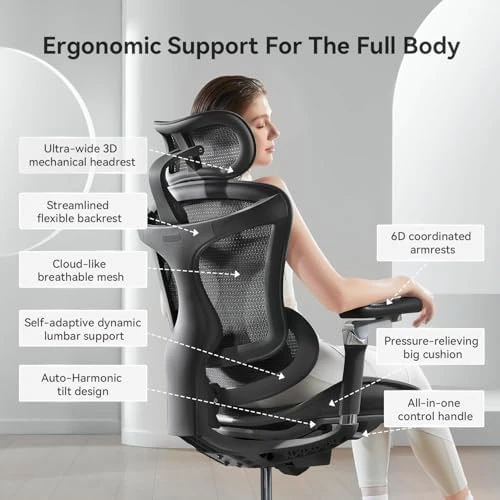 Ergonomic Office Chair with Ultra-Soft 6D Armrests and Dynamic Lumbar Support — Smart Chairs, SIHOO