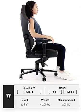 Gaming Chair - Reclining - Ergonomic & Comfortable Computer Chair with 4D Armrests - Magnetic Head Pillow & 4-Way Lumbar... — Smart Chairs, Secretlab