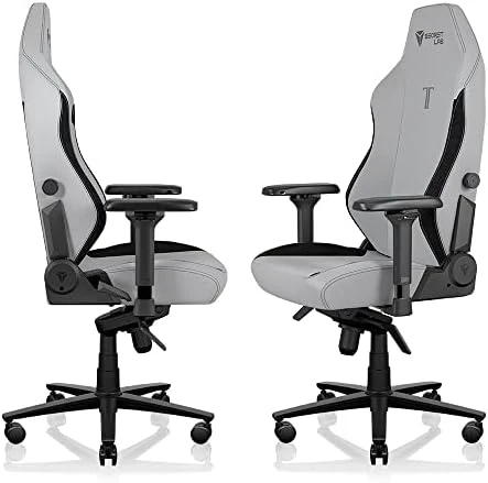 Gaming Chair - Reclining, Ergonomic & Heavy Duty Computer Chair with 4D Armrests, Magnetic Head Pillow & Lumbar Support... — Smart Chairs, Secretlab