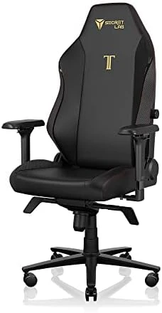 Gaming Chair - Reclining, Ergonomic & Heavy Duty Computer Chair with 4D Armrests, Magnetic Head Pillow & Lumbar Support... — Smart Chairs, Secretlab