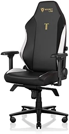 Gaming Chair - Reclining, Ergonomic & Heavy Duty Computer Chair with 4D Armrest, Magnetic Head Pillow & Lumbar Support -... — Smart Chairs, Secretlab