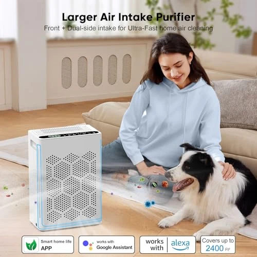 Air Purifier for Large Rooms with Fragrance and Smart WiFi Control — Air Purifier, DAYETTE