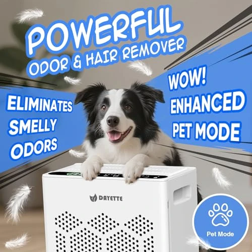 Air Purifier for Large Rooms with Fragrance and Smart WiFi Control — Air Purifier, DAYETTE