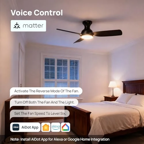 Smart Ceiling Fan with Lights — Smart Fan, Consciot