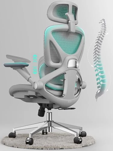 Ergonomic Mesh Office Chair — Smart Chairs, CAPOT