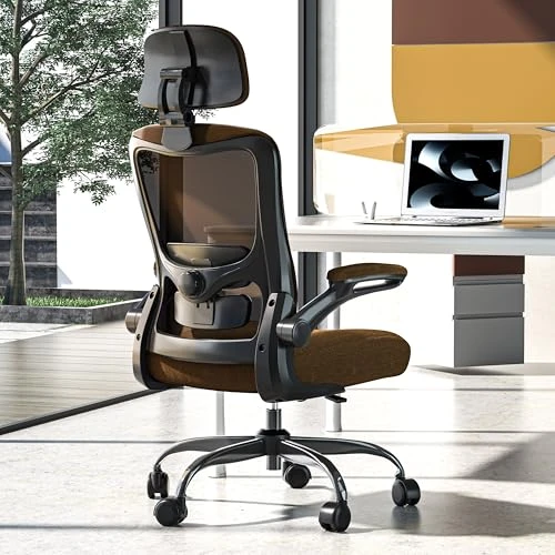 Ergonomic Office Chair — Smart Chairs, Zeonsit