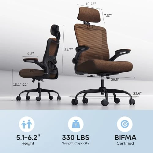 Ergonomic Office Chair — Smart Chairs, Zeonsit