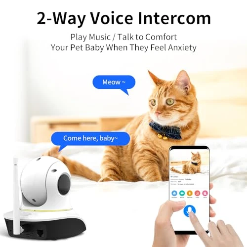 Pet Camera with Laser — Automatic Cat Toy, Vstarcam