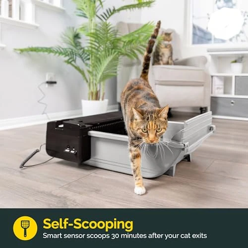 Self Cleaning Semi Automatic Cat Litter Box — Self-Cleaning Litter Box, Pet Zone