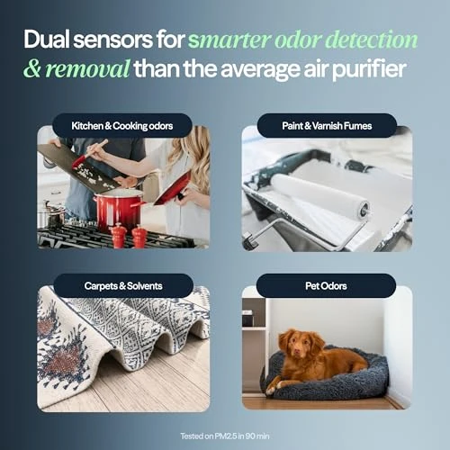 Air Purifier for Medium Rooms — Air Purifier, BLUEAIR